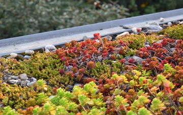 the cost of Gourdon green roof installation